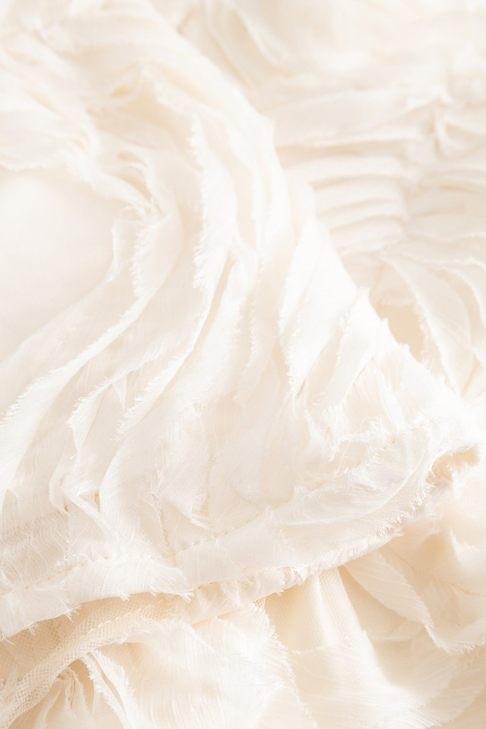 closeup