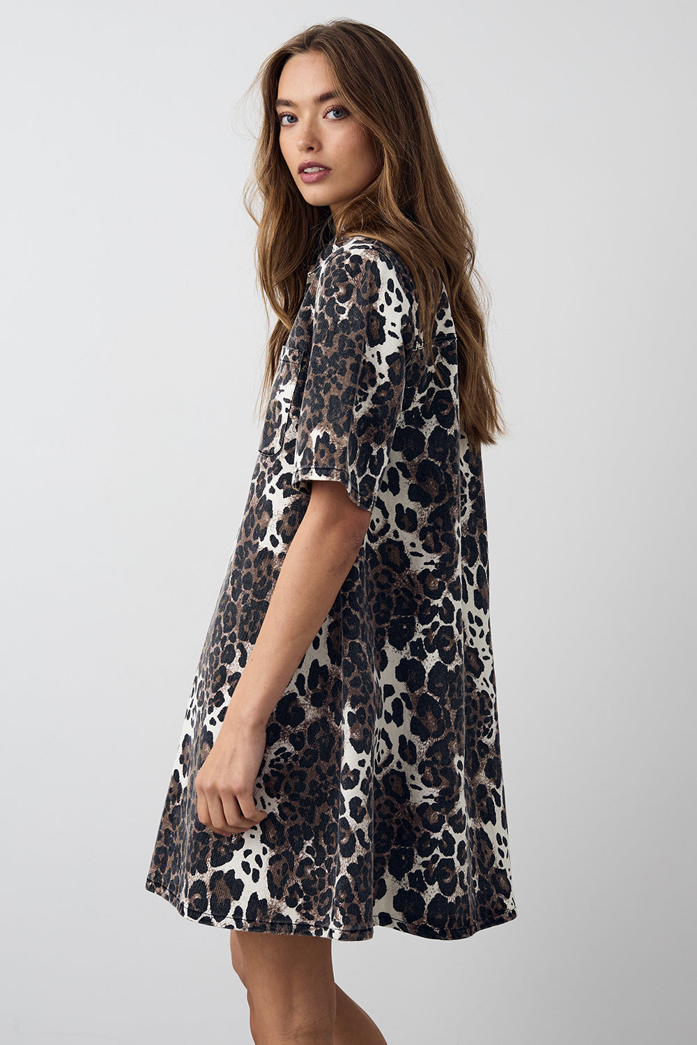 Jozie Dress Taleah Print – - Main Image