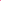 Forte Blazer Pink Pop